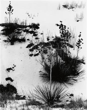 WESTON, BRETT (1911-1993) White Sands portfolio, with 12 (of 12) photographs documenting the delicate and majestic New Mexico landsca